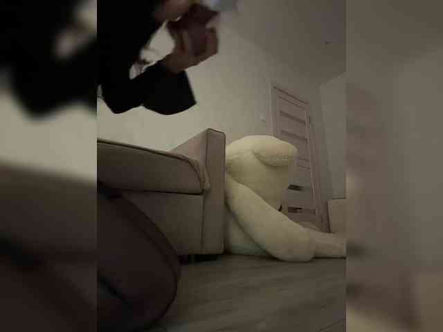-ALLINA- webcam