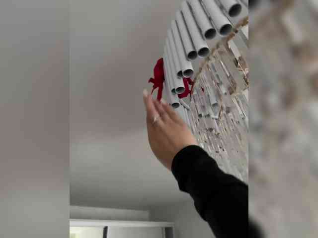 -ALLINA- webcam