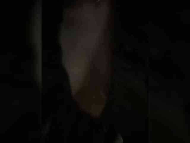 -ALLINA- webcam
