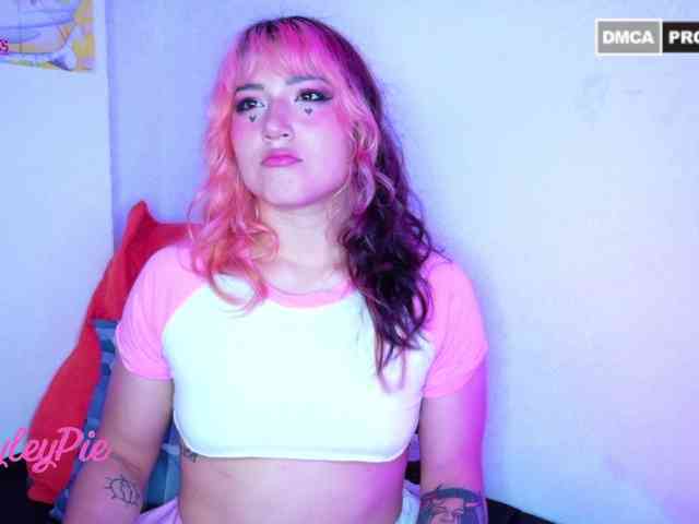 HayleyPie HayleyPie