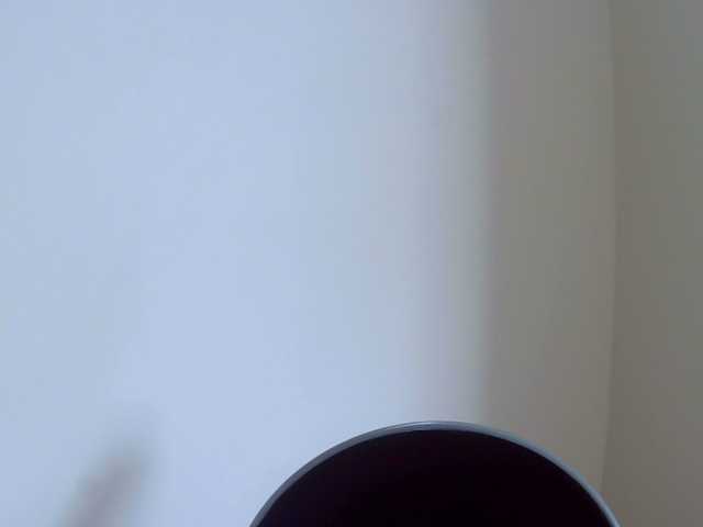 Ratienterciopelo live cam on BongaCams
