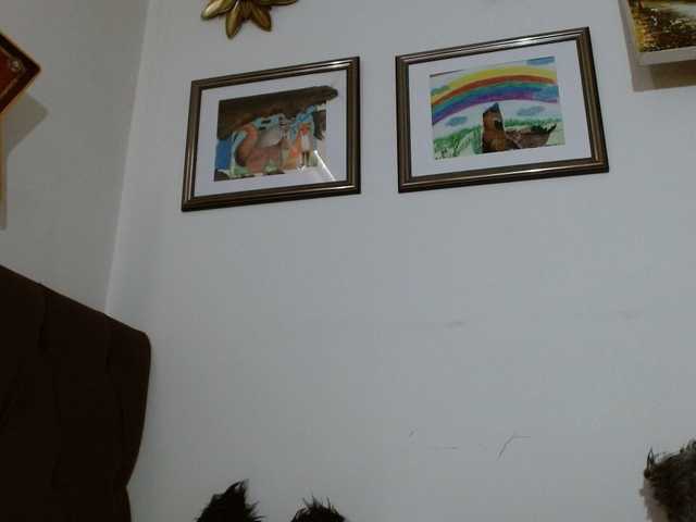 Preview of margaritadudole