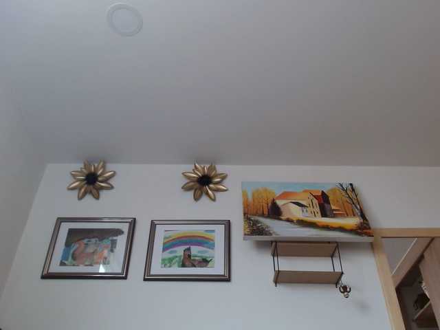 Preview of margaritadudole