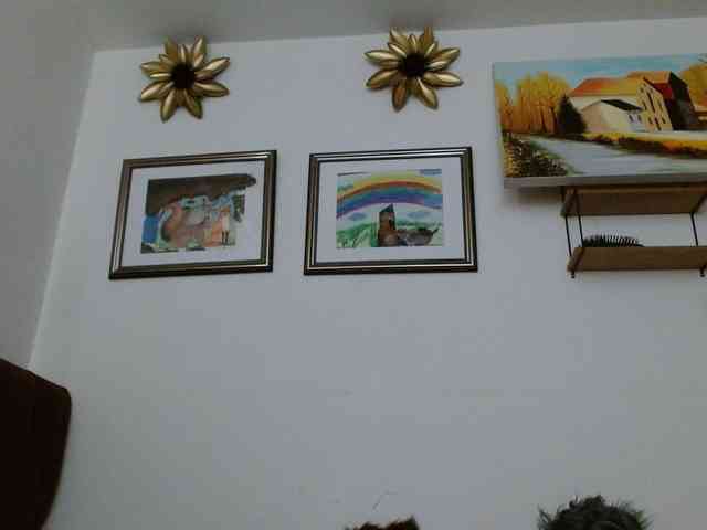 Margaritadudole webcam