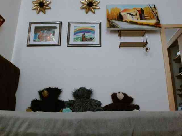 Margaritadudole webcam