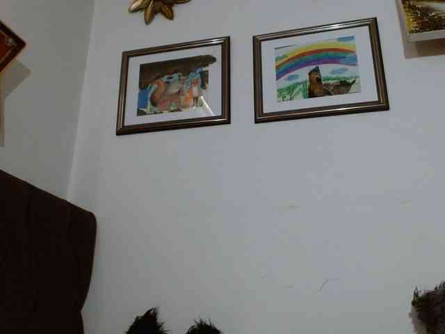 Margaritadudole webcam