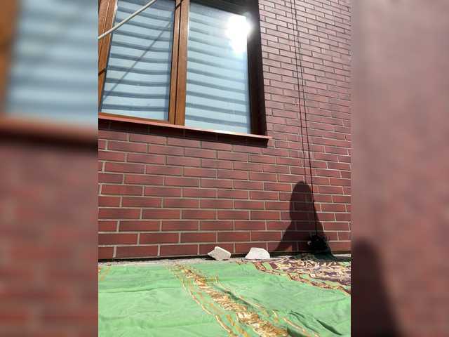 AlisaBlackFox live cam