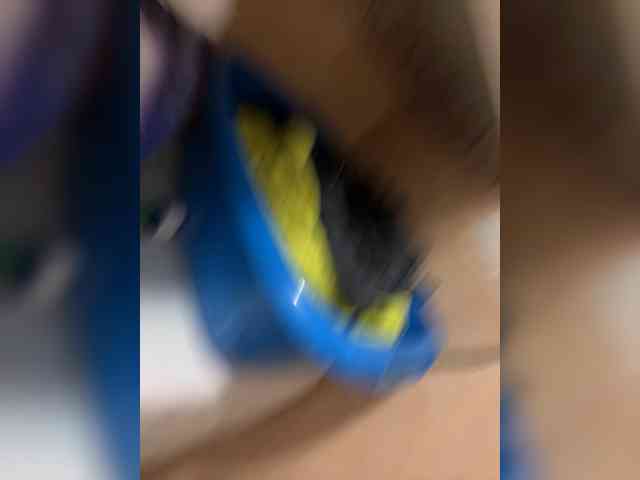 AlisaBlackFox webcam