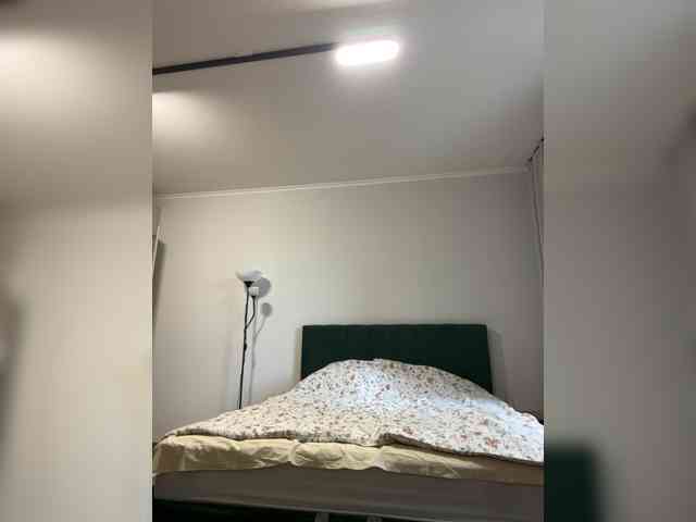 AlisaBlackFox webcam