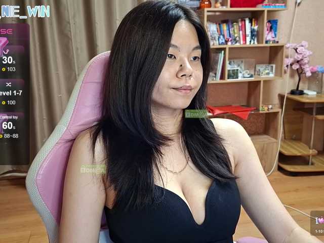 WIN_NIE