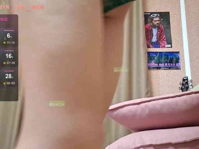 WIN_NIE webcam