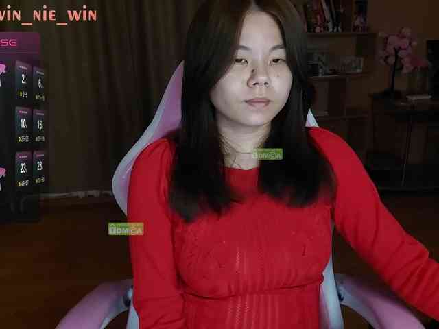 WIN_NIE webcam