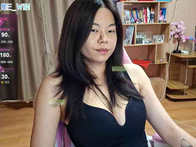 WIN_NIE webcam