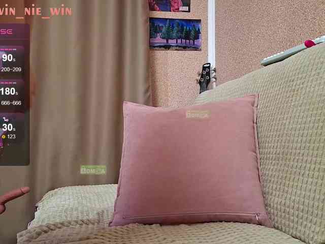 WIN_NIE webcam