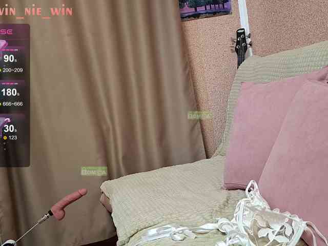 Модель: WIN_NIE