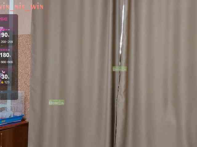 WIN_NIE webcam