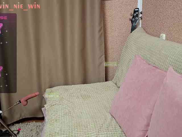 WIN_NIE webcam