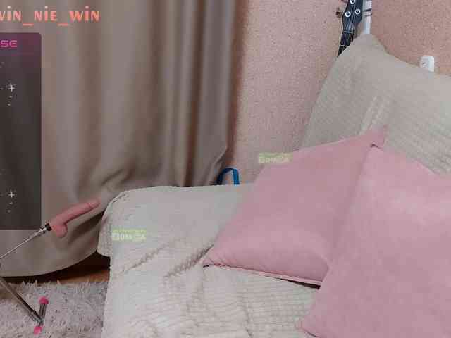 WIN_NIE webcam