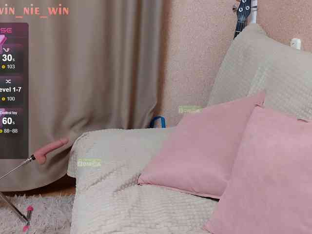 WIN_NIE webcam
