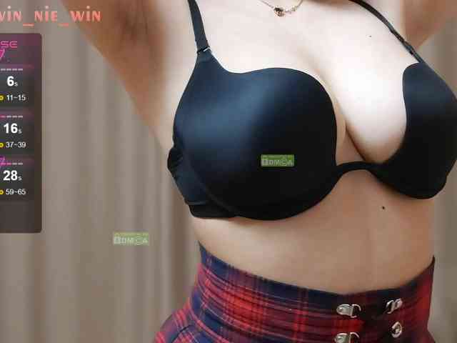 WIN_NIE webcam