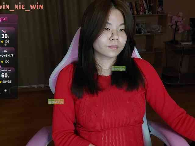 WIN_NIE webcam