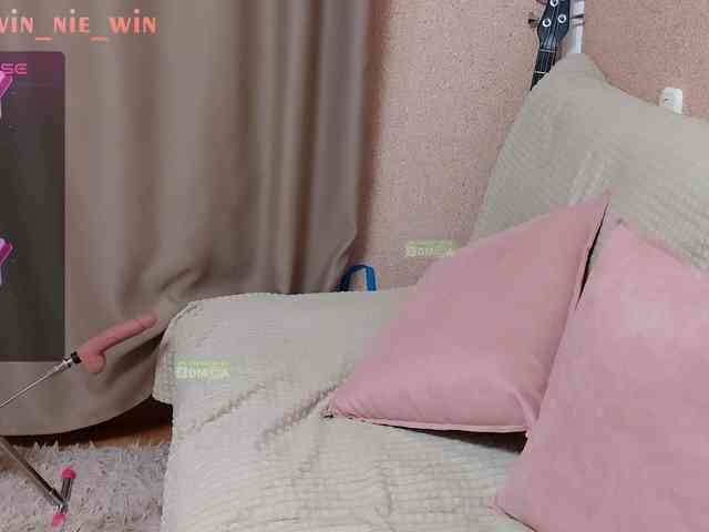 WIN_NIE webcam