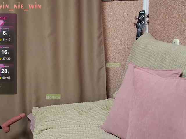 WIN_NIE webcam