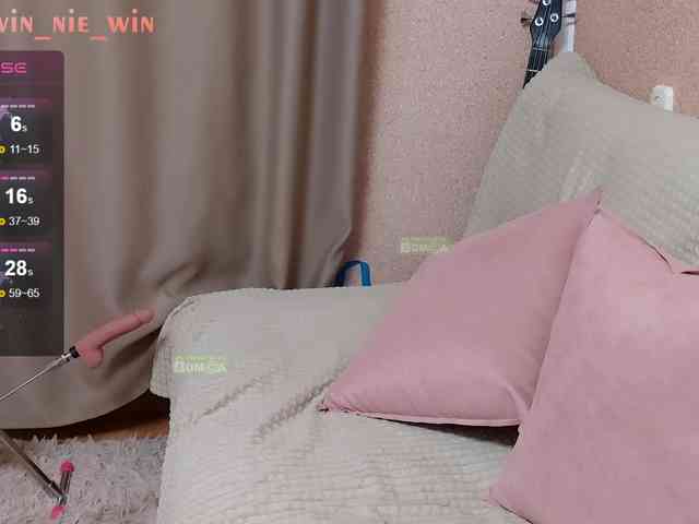 WIN_NIE webcam