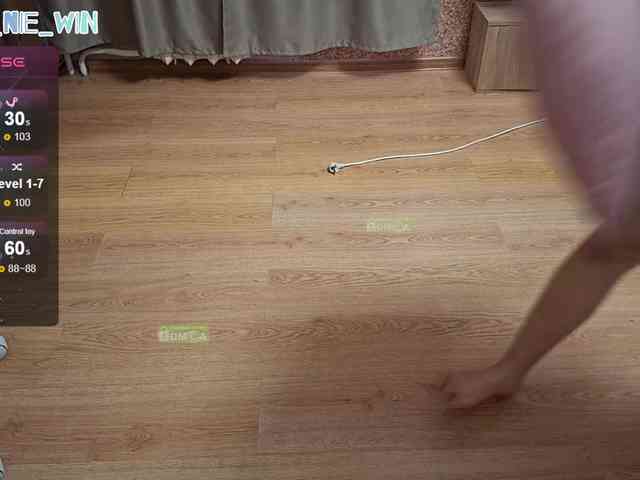 WIN_NIE webcam