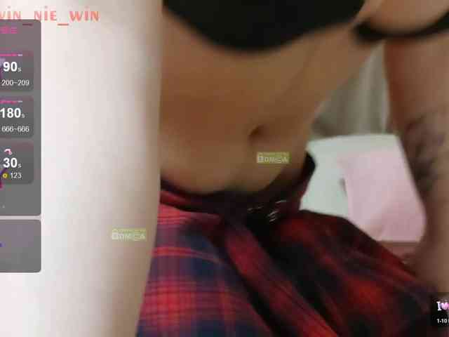 WIN_NIE webcam