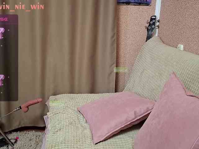 WIN_NIE webcam