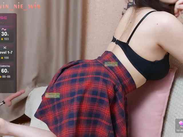 WIN_NIE webcam