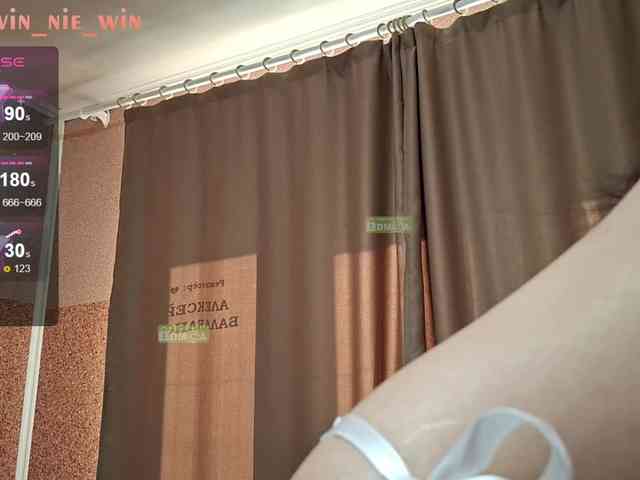WIN_NIE webcam
