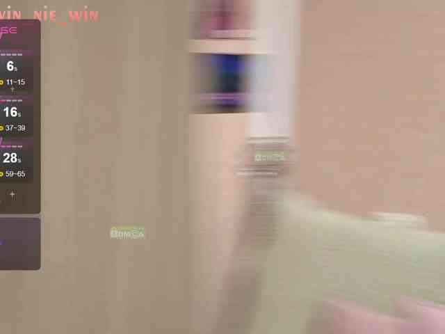 WIN_NIE webcam