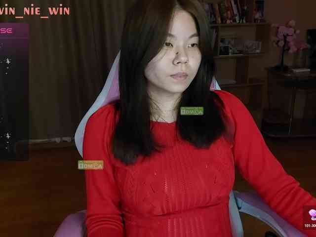 WIN_NIE webcam