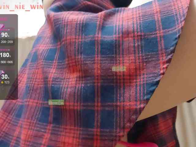 WIN_NIE webcam