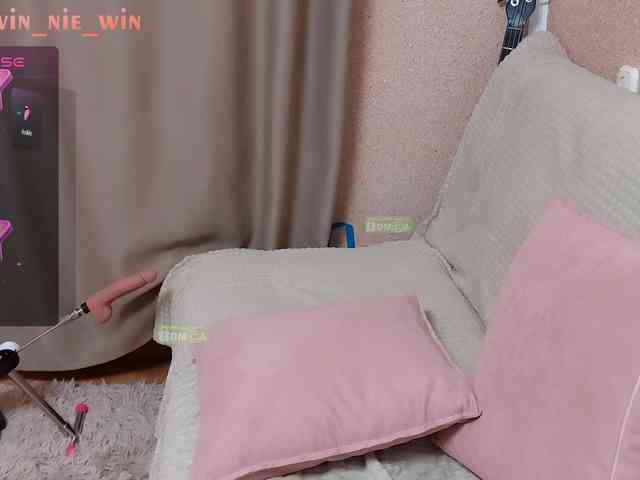 WIN_NIE webcam