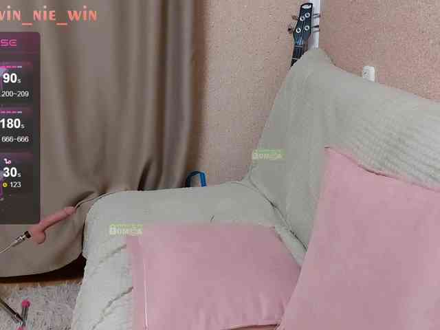 WIN_NIE webcam