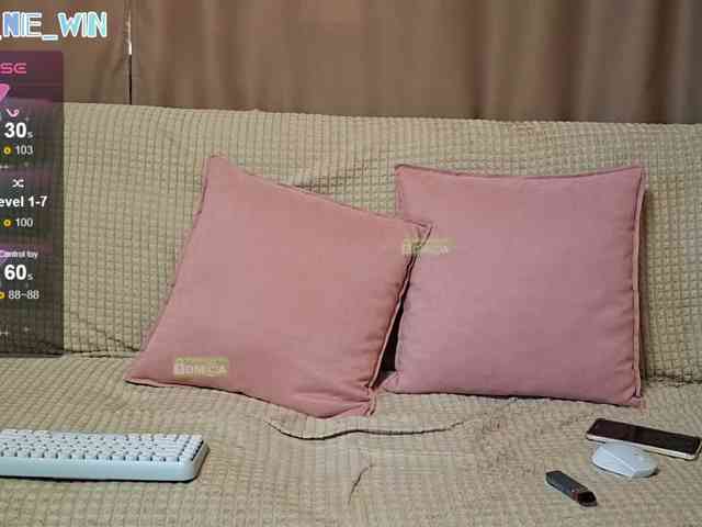 WIN_NIE webcam