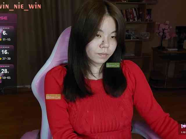WIN_NIE webcam