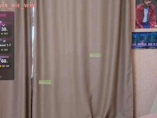 WIN_NIE webcam