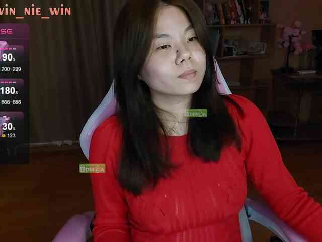 WIN_NIE webcam