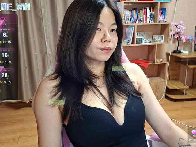 WIN_NIE webcam