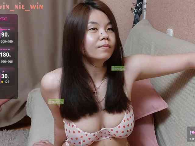 WIN_NIE webcam
