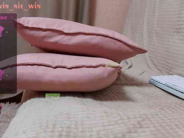 WIN_NIE webcam