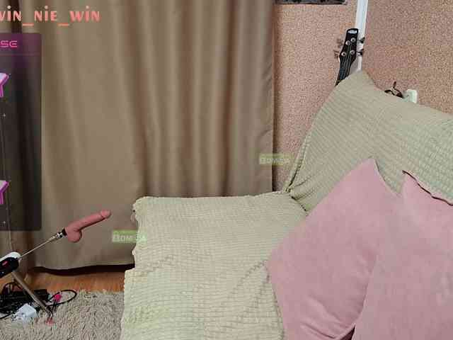 WIN_NIE webcam