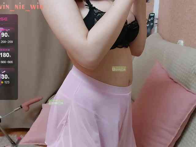 WIN_NIE webcam