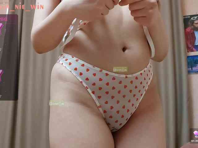 WIN_NIE webcam