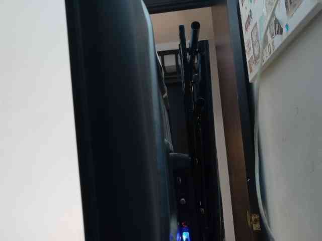 LiraRusso1 webcam