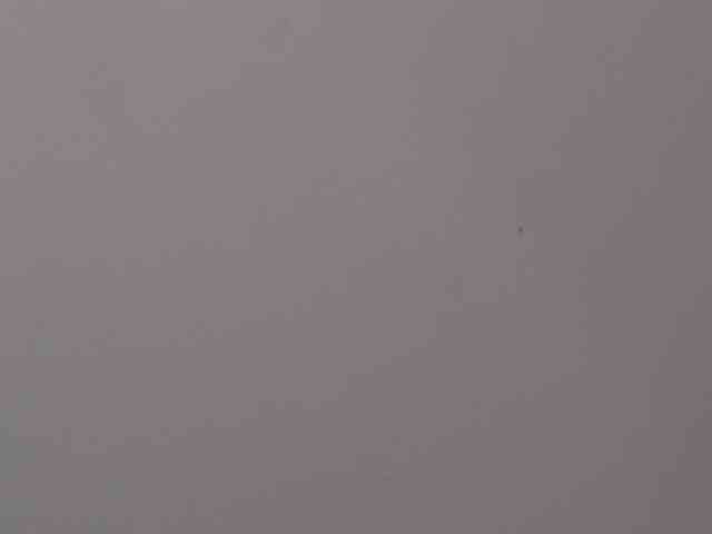 LiraRusso1 webcam